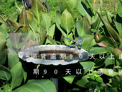 網貸逾期90天以上還會被起訴嗎-網貸逾期90天以上還會被起訴嗎知乎