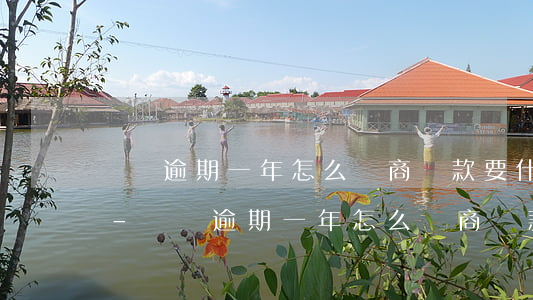 網貸逾期一年怎么協商還款要什么手續證明-網貸逾期一年怎么協商還款要什么手續證明呢