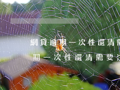 網貸逾期一次性還清需要注意什么-網貸逾期一次性還清需要注意什么問題