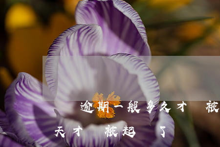 網貸逾期一般多久才會被起訴(網貸逾期多少天才會被起訴了)