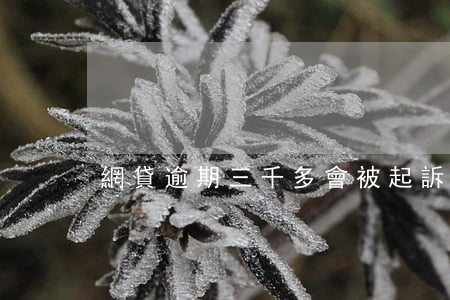 網貸逾期三千多會被起訴嗎