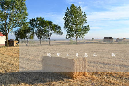 網貸逾期上岸怎么還款(網貸逾期上岸操作)