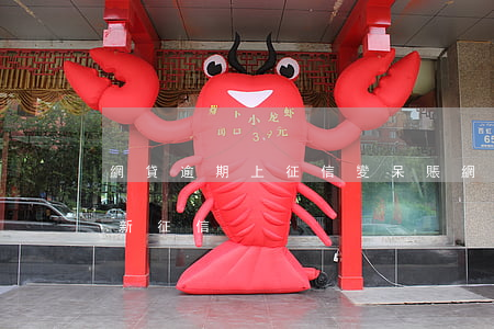網貸逾期上征信變呆賬(網貸呆賬還清多久更新征信)