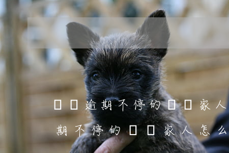 網貸逾期不停的騷擾家人怎么舉報-網貸逾期不停的騷擾家人怎么舉報他