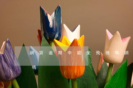網貸逾期中能坐飛機嗎(網貸嚴重逾期坐飛機嗎)
