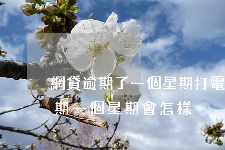 網貸逾期了一個星期打電話怎么辦-網貸逾期一個星期會怎樣