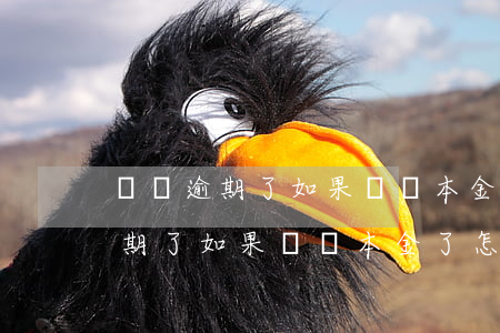 網貸逾期了如果給夠本金了怎么辦-網貸逾期了如果給夠本金了怎么辦呢