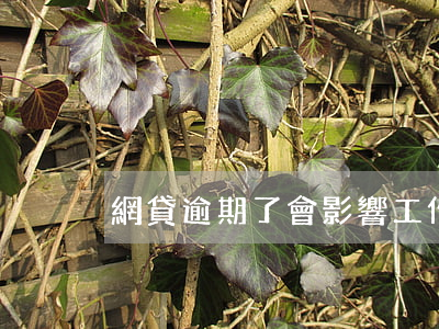 網貸逾期了會影響工作么