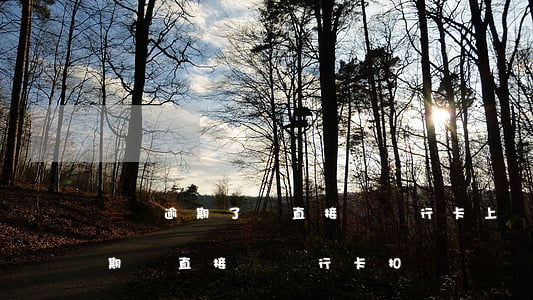 網貸逾期了會直接從銀行卡上劃嗎-網貸逾期會直接從銀行卡扣錢嗎