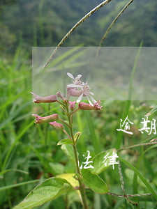 網貸逾期了父母會知道嗎(網貸逾期需要知道法律)