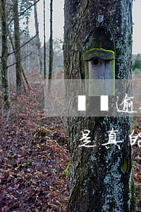 網貸逾期了說去家里(網貸逾期說來家里催收是真的嗎)