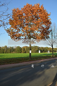 網貸逾期了還一半可以么(網貸逾期半年以上有什么后果)