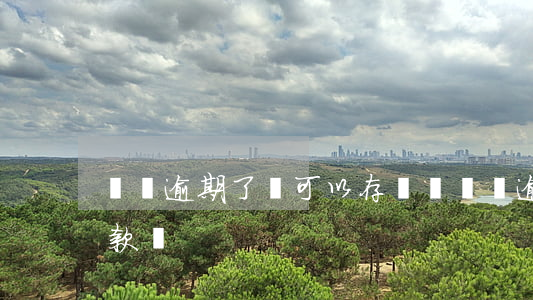 網貸逾期了還可以存錢嗎(網貸逾期了還能下款嗎)