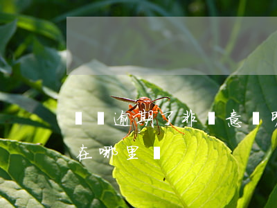 網貸逾期了非惡意證明(網貸非惡意逾期證明在哪里開)