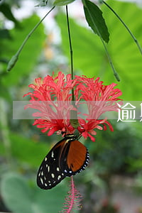 網貸逾期五分鐘(網貸逾期1分鐘)