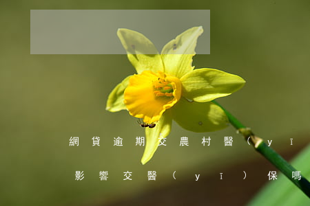 網貸逾期交農村醫(yī)療保險(網貸逾期影響交醫(yī)保嗎)