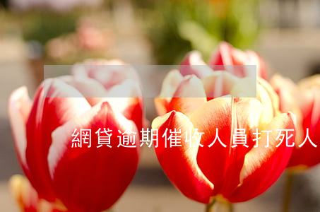 網貸逾期催收人員打死人(網貸上門催收被殺)