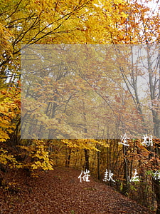 網貸逾期催款會持續(xù)多久(網貸逾期催款法律規(guī)定)