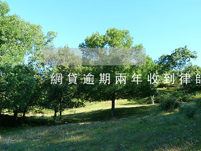 網貸逾期兩年收到律師函怎么辦