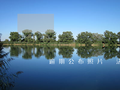 網貸逾期公布照片違法嗎(網貸逾期網上公布)