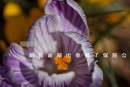 網貸逾期出車禍了保險公司賠償嗎