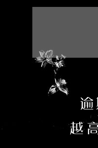 網貸逾期利息不夠怎么辦(網貸逾期了利息越來越高怎么處理)