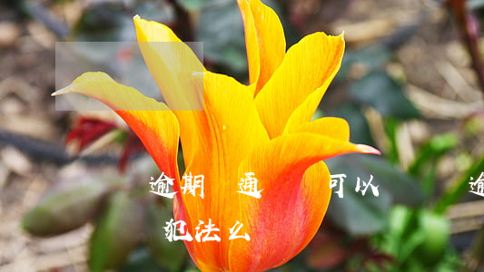 網貸逾期刪通訊錄可以嗎(網貸逾期打通訊錄電話犯法么)