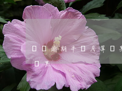 網貸逾期半個月算網黑嗎(網貸逾期多久征信會黑)