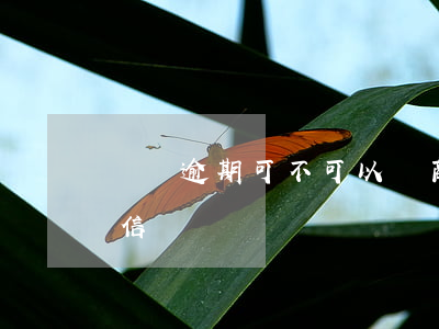 網貸逾期可不可以協商（網貸逾期幫協商的可信嗎）