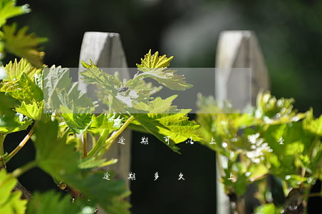 網貸逾期可以上門調查嗎(正規(guī)網貸逾期多久會上門)