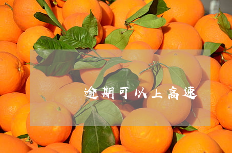 網貸逾期可以上高速嗎