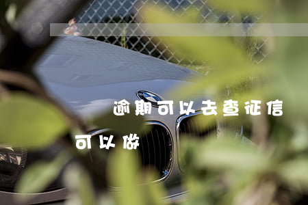 網貸逾期可以去查征信嗎(征信有逾期在哪里可以做網貸)