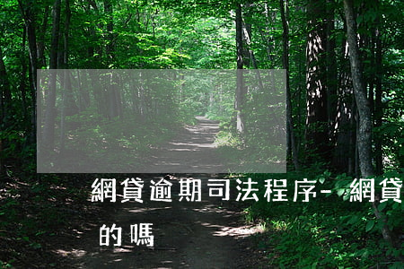 網貸逾期司法程序-網貸逾期司法訴訟是真的嗎