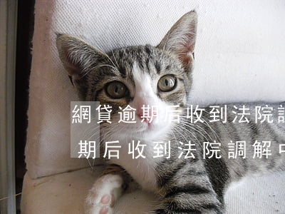 網貸逾期后收到法院調解中心電話-網貸逾期后收到法院調解中心電話是真的嗎