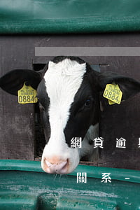 網貸逾期和緊急聯(lián)系人有什么關系-網貸逾期和緊急聯(lián)系人有什么關系嗎