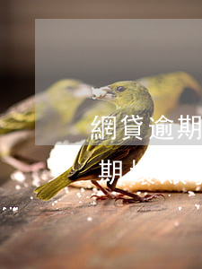 網貸逾期壞賬發布網上有什么后果-網貸逾期壞賬發布網上有什么后果嗎