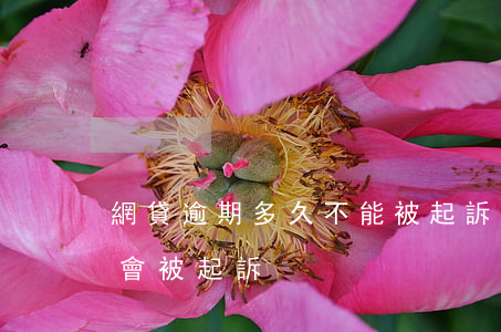 網貸逾期多久不能被起訴(網貸逾期不還會不會被起訴)