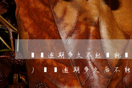 網貸逾期多久不起訴就沒事了（正規(guī)網貸逾期多久后不能起訴）