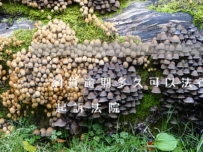 網貸逾期多久可以法律起訴(網貸逾期多久會起訴法院)
