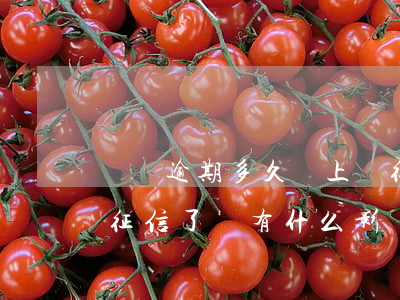 網貸逾期多久會上報征信(網貸逾期2天上報征信了會有什么影響)