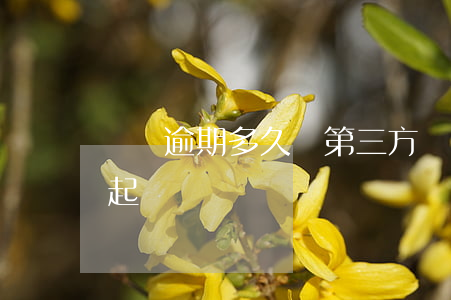 網貸逾期多久給第三方(網貸逾期三個月會被起訴嗎)