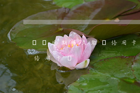 網貸逾期多久能辦信用卡(網貸有逾期可以辦信用卡嗎?)