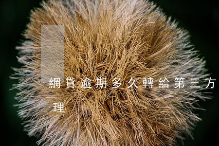 網貸逾期多久轉給第三方(網貸逾期第三方處理)