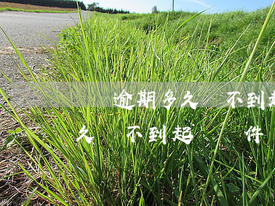 網貸逾期多久達不到起訴條件-網貸逾期多久達不到起訴條件