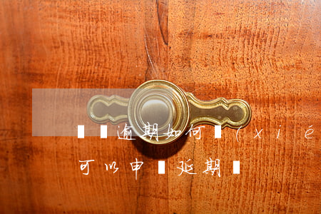 網貸逾期如何協(xié)商延期(網貸逾期可以申請延期嗎)