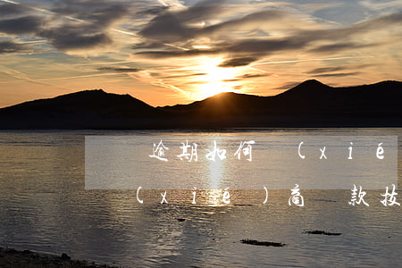 網貸逾期如何協(xié)商還款(網貸逾期協(xié)商還款技巧)