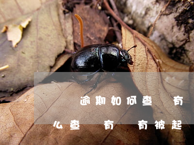 網貸逾期如何查詢有沒有被起訴 網貸逾期怎么查詢有沒有被起訴