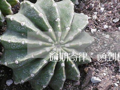 網貸逾期寄律師函到村委會合法嗎