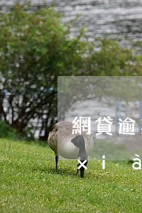 網貸逾期實在沒錢怎么辦(網上借款逾期現(xiàn)在沒有錢還會怎么樣)