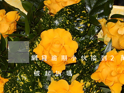 網貸逾期小伙接到2萬多(網貸逾期兩萬多會被起訴嗎)